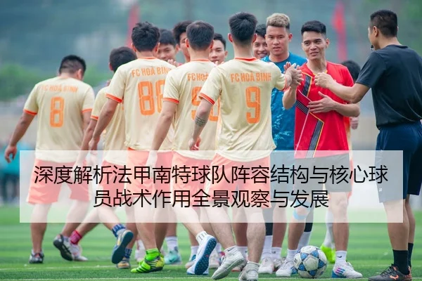 深度解析法甲南特球队阵容结构与核心球员战术作用全景观察与发展
