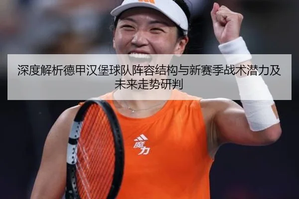 深度解析德甲汉堡球队阵容结构与新赛季战术潜力及未来走势研判